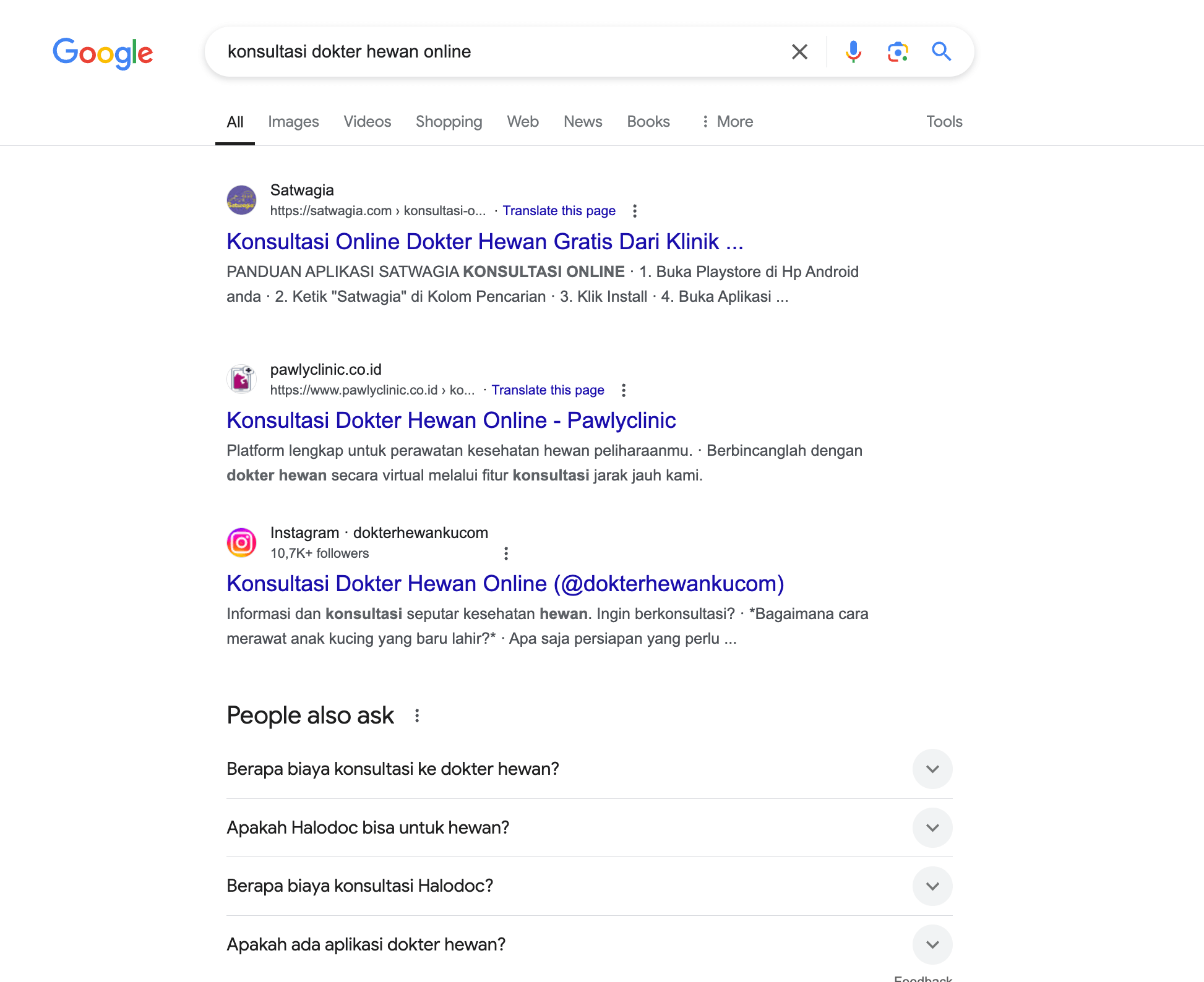 Dokterhewanku.com - Portofolio SEO
