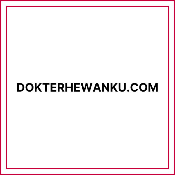 Dokterhewanku.com - Portofolio SEO